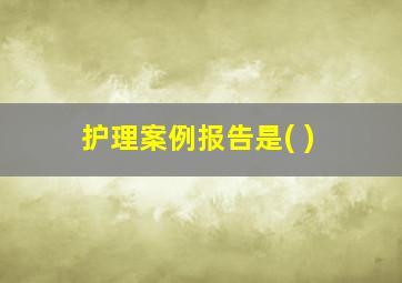 护理案例报告是( )